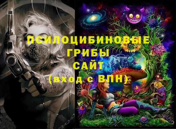 ПСИЛОЦИБИНОВЫЕ ГРИБЫ Баксан