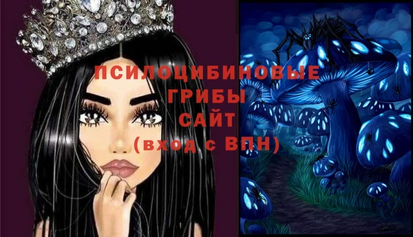 ПСИЛОЦИБИНОВЫЕ ГРИБЫ Баксан