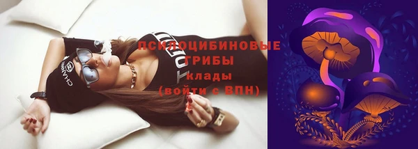 сатива Балахна