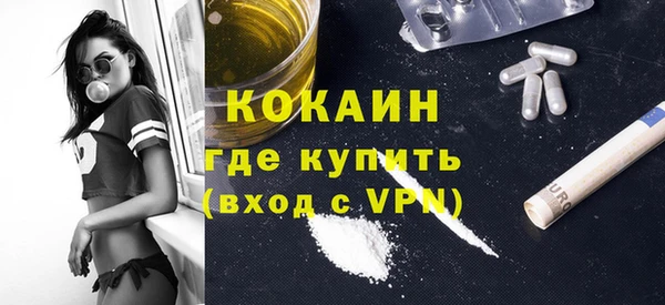 сатива Балахна