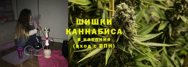 сатива Балахна