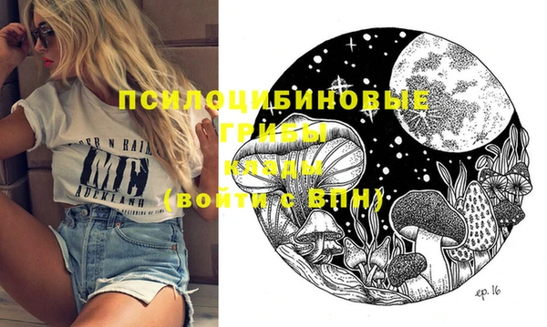 сатива Балахна